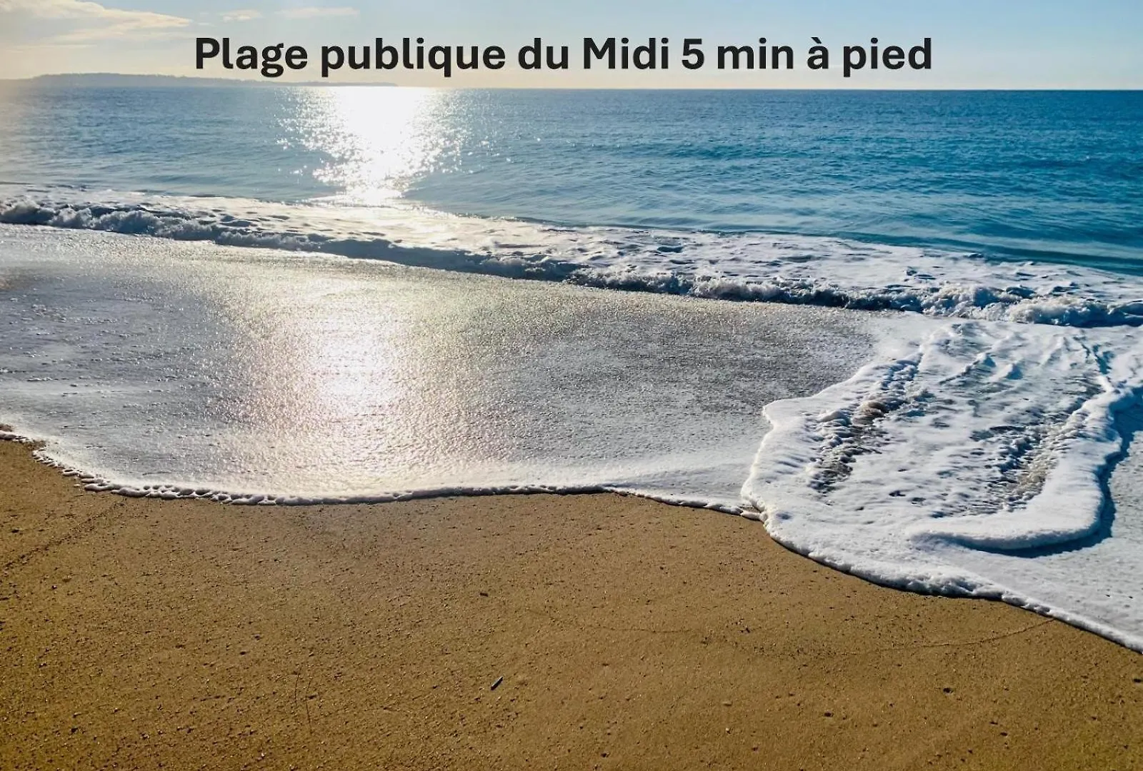 Magnifique Et Lumineux 3 Pieces A2B238 Appartement Cannes